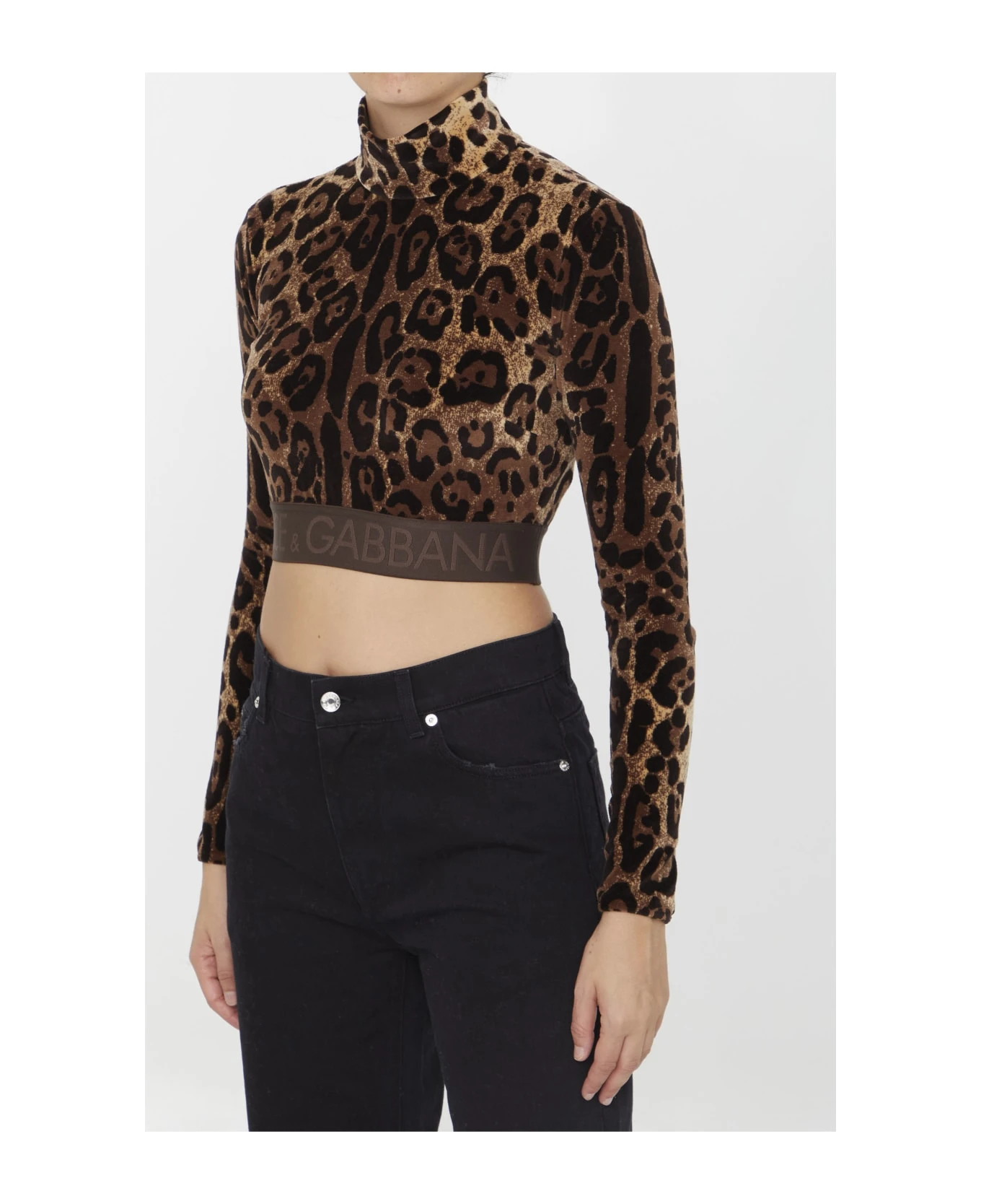 Dolce & Gabbana Leopard-print Crop Top - Image 2