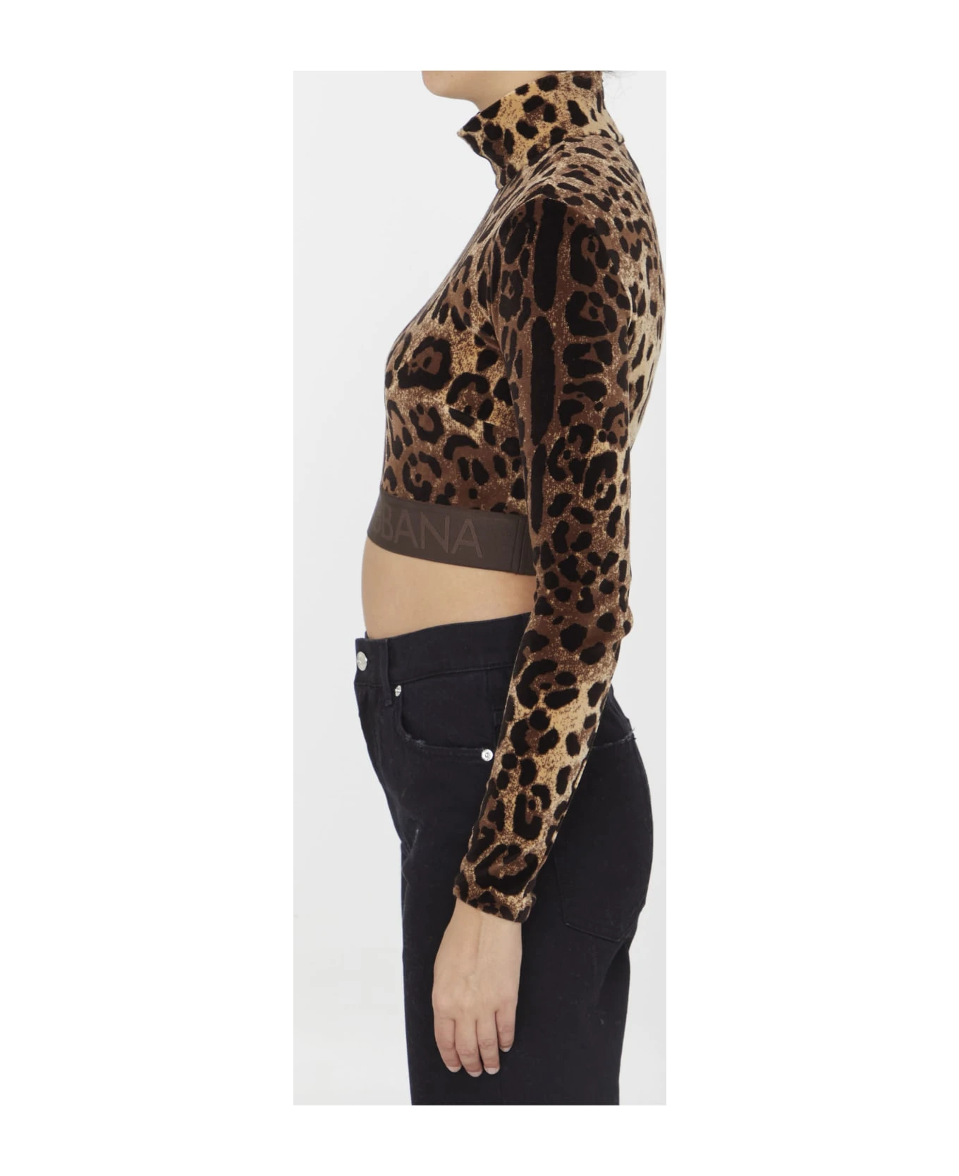 Dolce & Gabbana Leopard-print Crop Top - Image 3