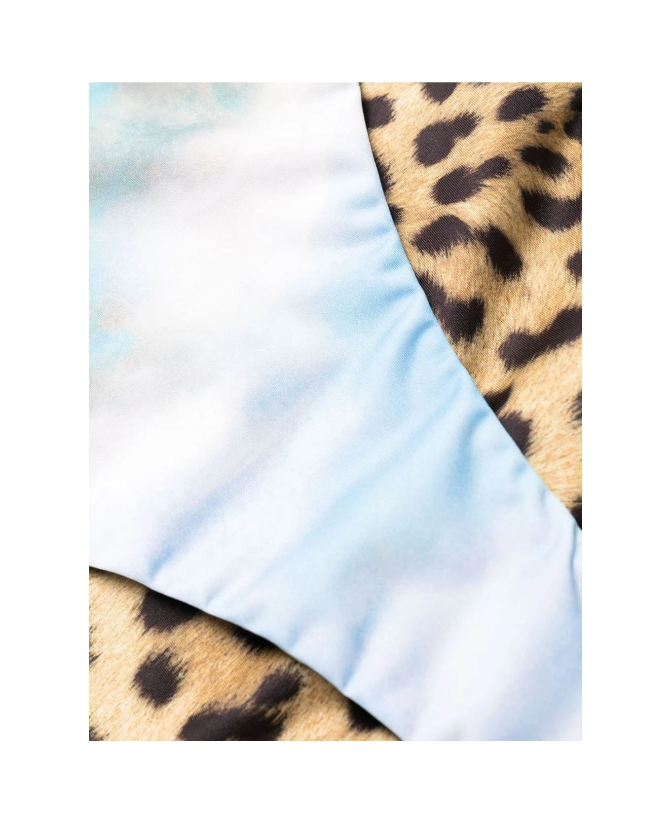 Roberto Cavalli Wild Leda Print Bikini Briefs - Image 3