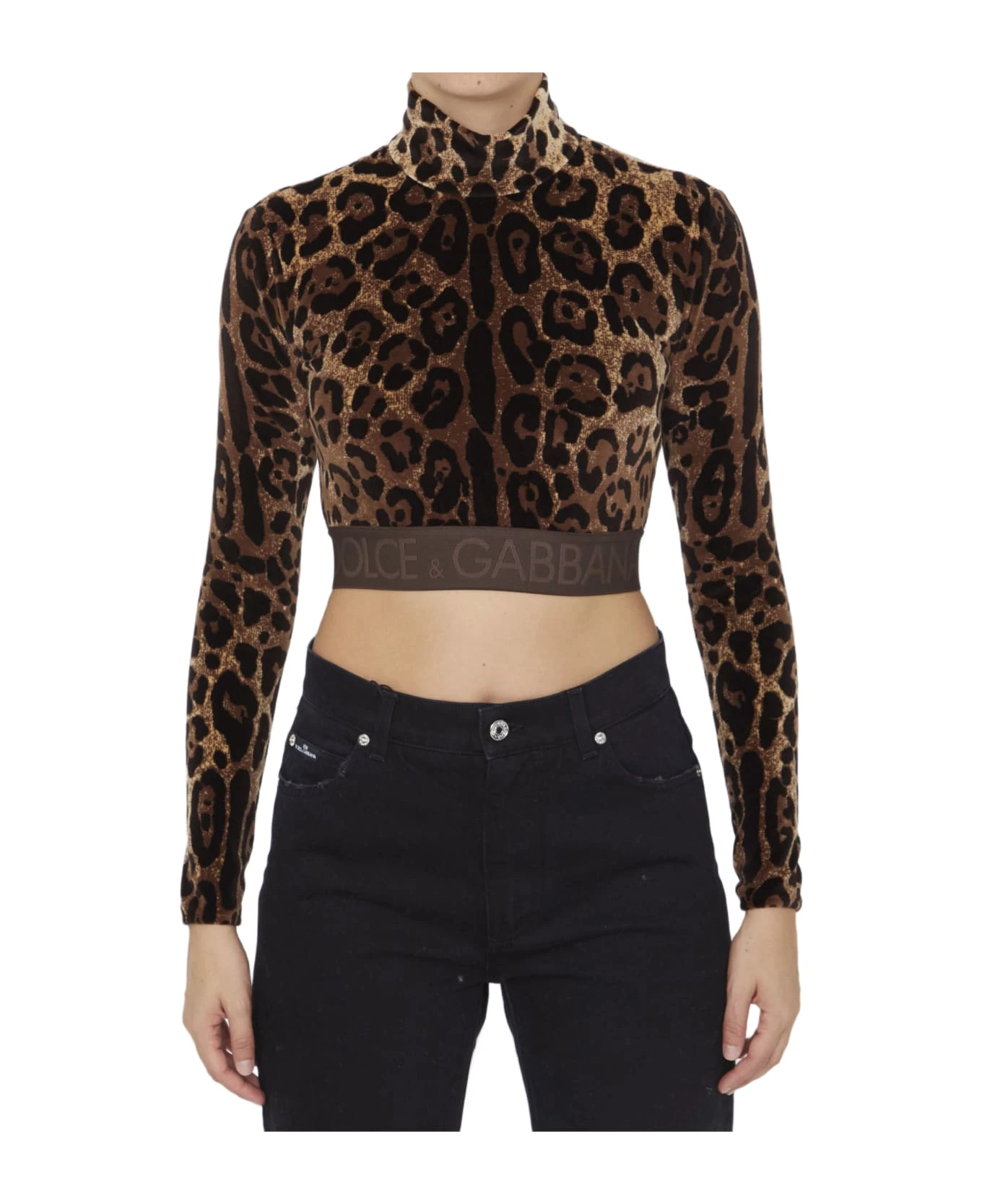 Dolce & Gabbana Leopard-print Crop Top