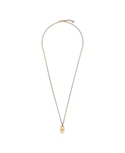 Alexander McQueen Gold-colored Chain Necklace With Skull Charm In Brass Woman