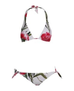 Dolce & Gabbana Floral-print Triangle Bikini Set