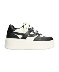 Ash Match Sneakers In White Leather